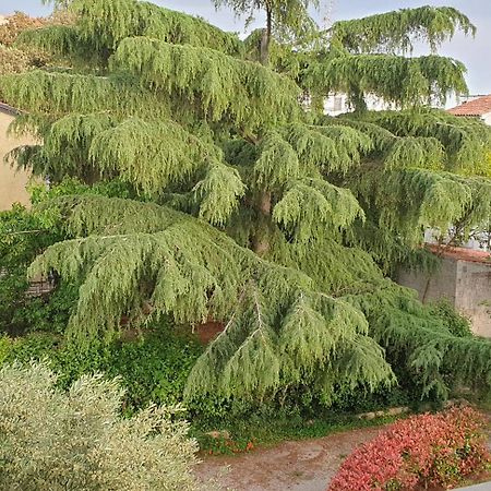 Apartments Adri, Parking In The Yard Rovinj Exterior foto