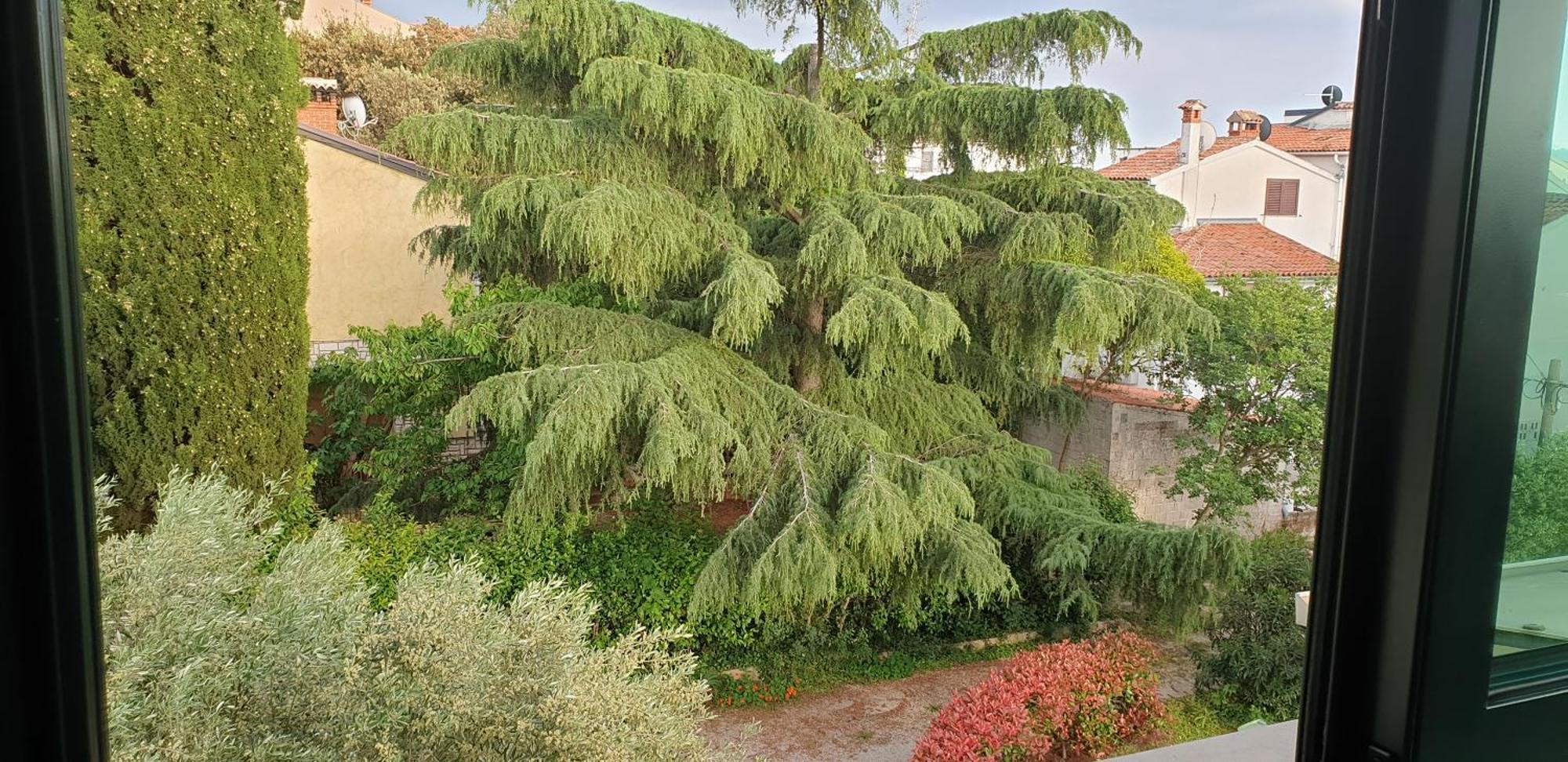 Apartments Adri, Parking In The Yard Rovinj Exterior foto